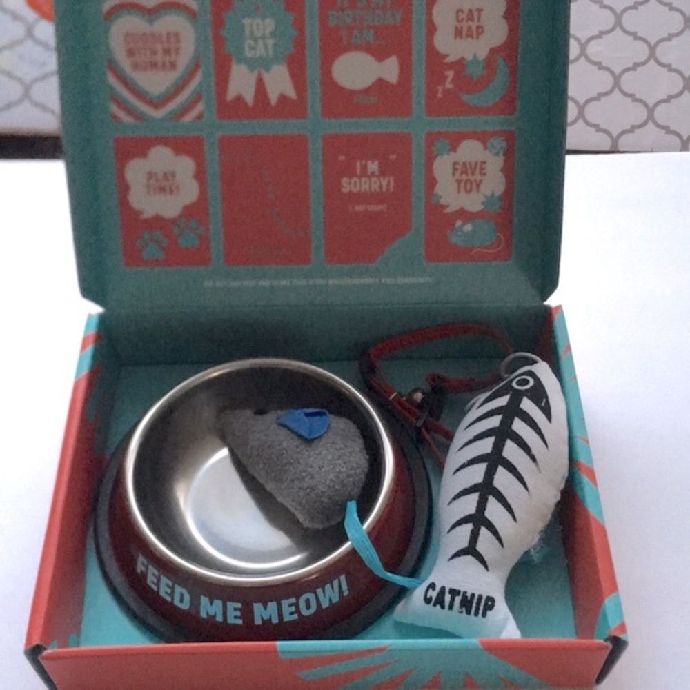 New Cat Kitten Pet Starter Boxed Gift Set Toys Dish Collar - Picture 1 of 9